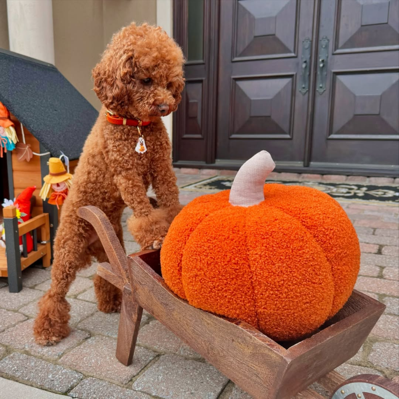 Halloween Shop