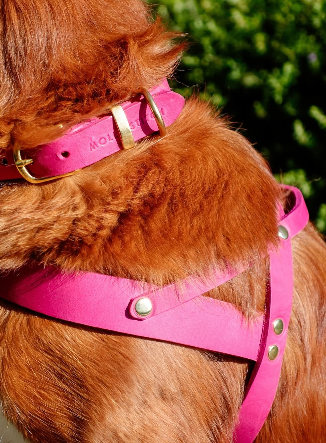 Butter Leather Dog Harness - Flamingo