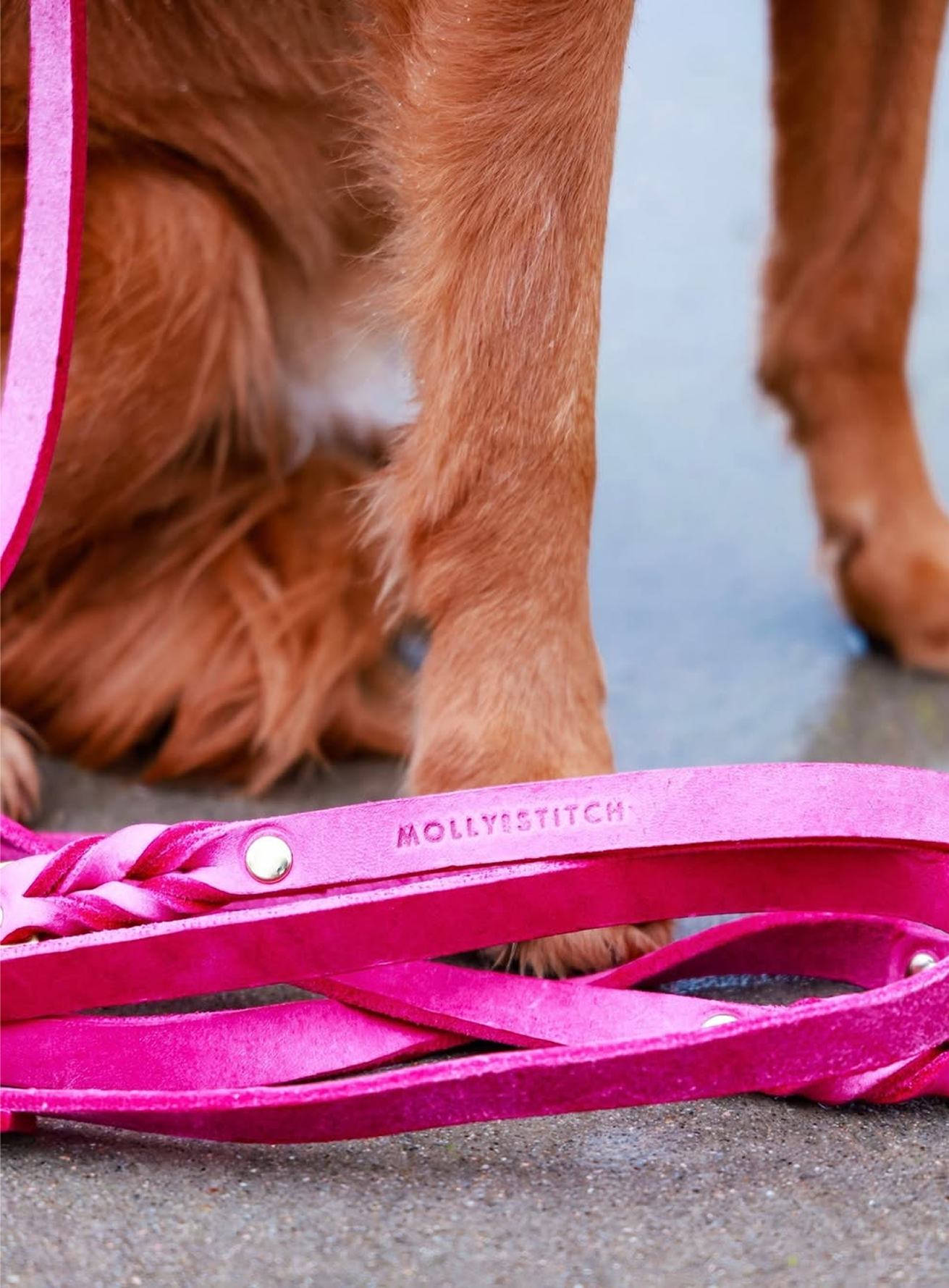 Butter Leather City Dog Leash - Flamingo