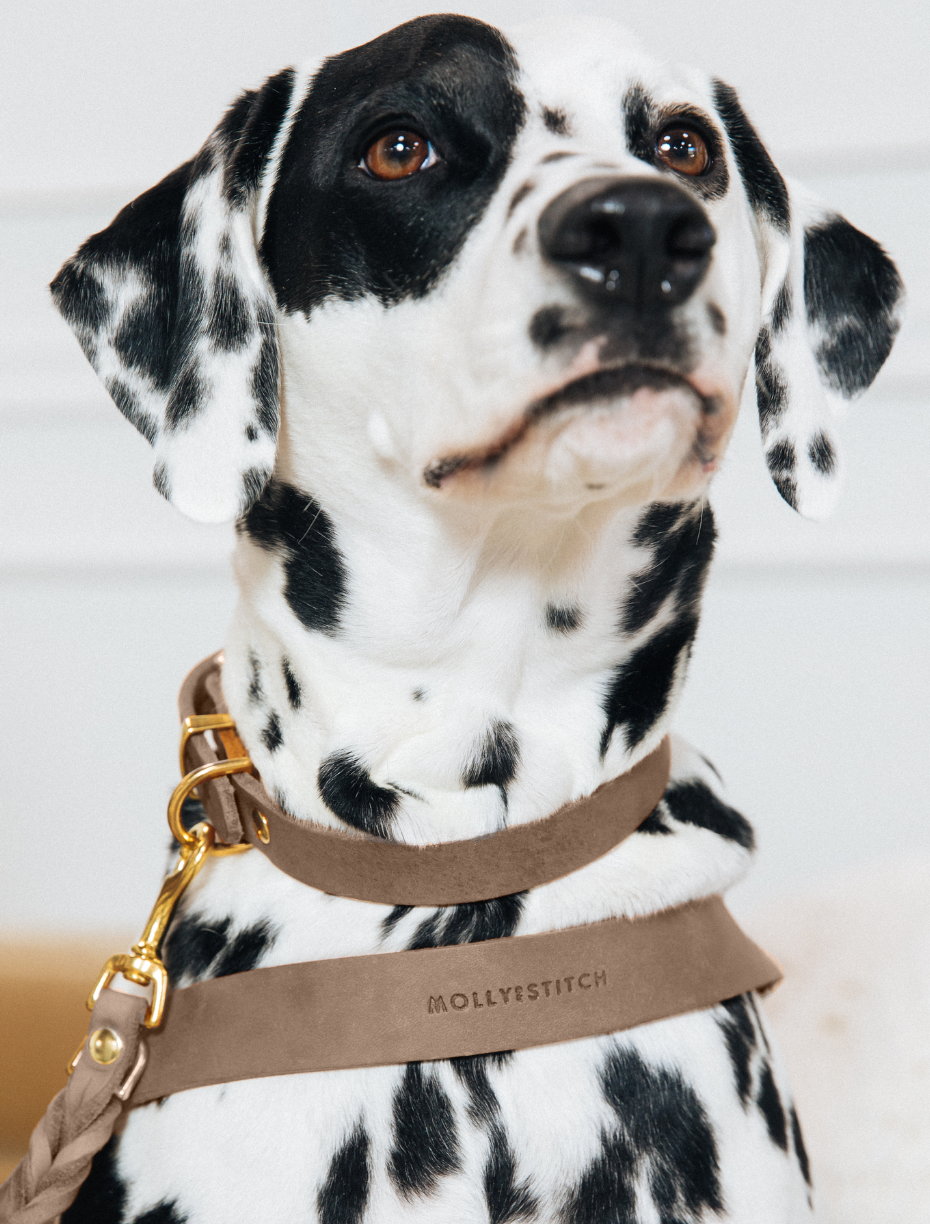 Butter Leather Dog Collar - Taupe