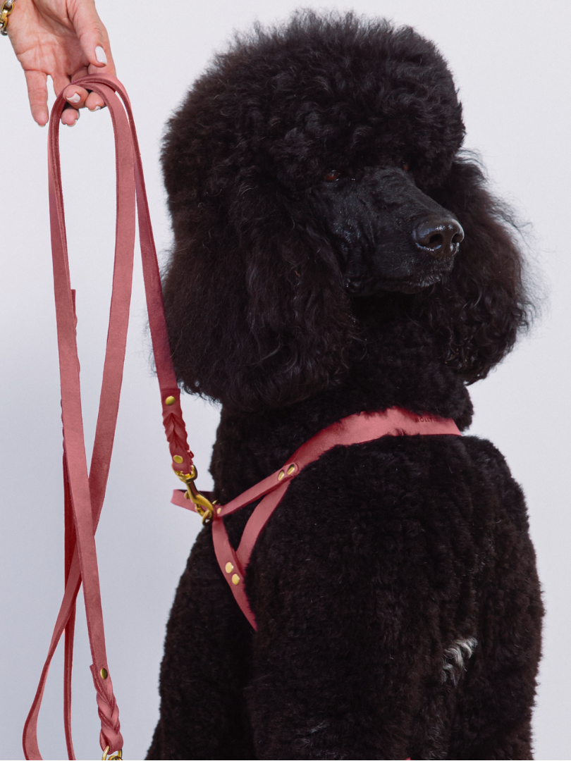 Butter Leather Dog Harness - Coral