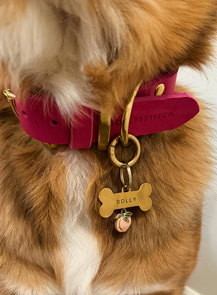 Butter Leather Dog Collar - Flamingo