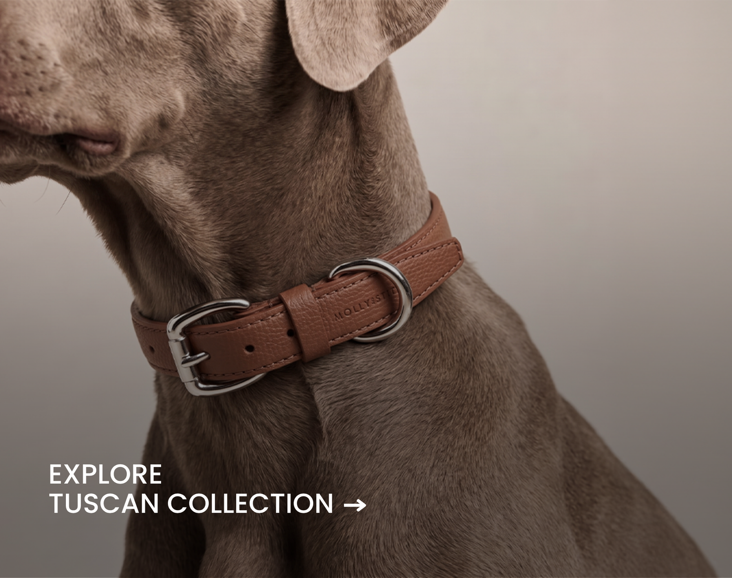 Explore Tuscan Collection