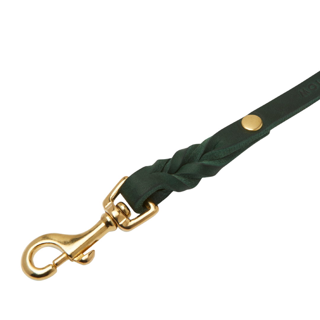 Forest Green leather leash with solid steel clasps, hand-braided details, and adjustable length