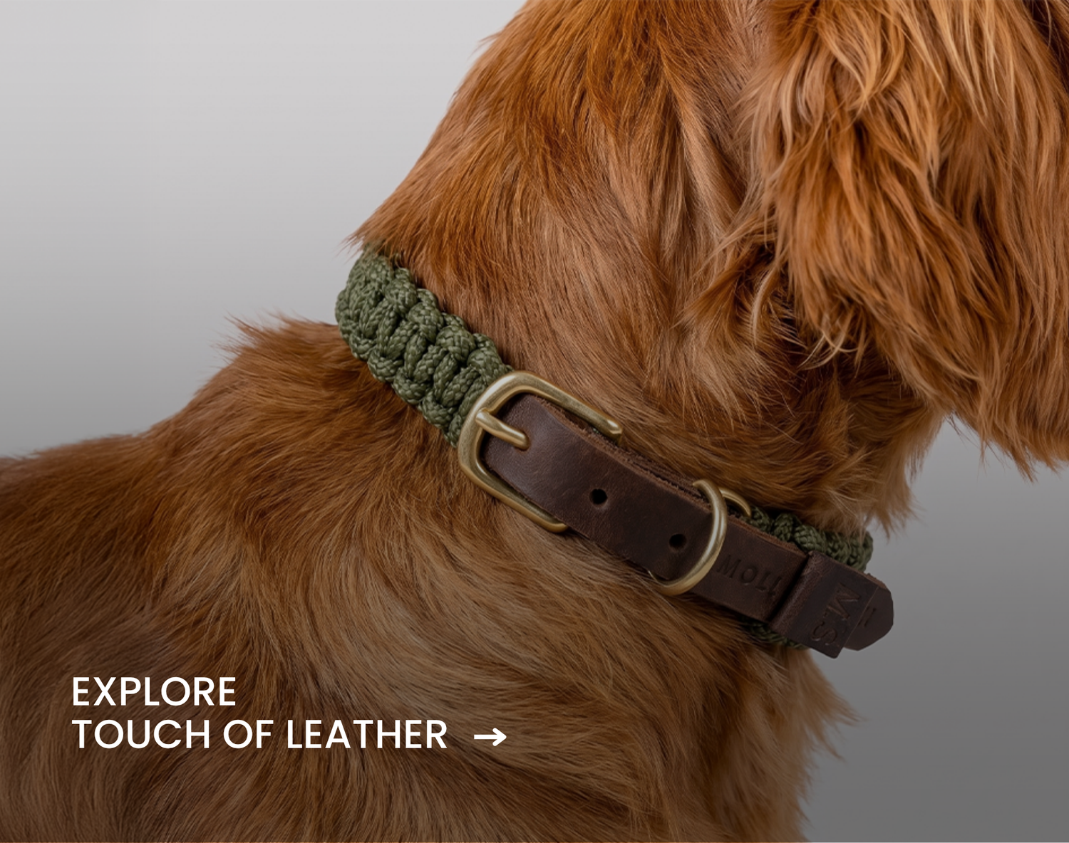 Explore Touch of Leather