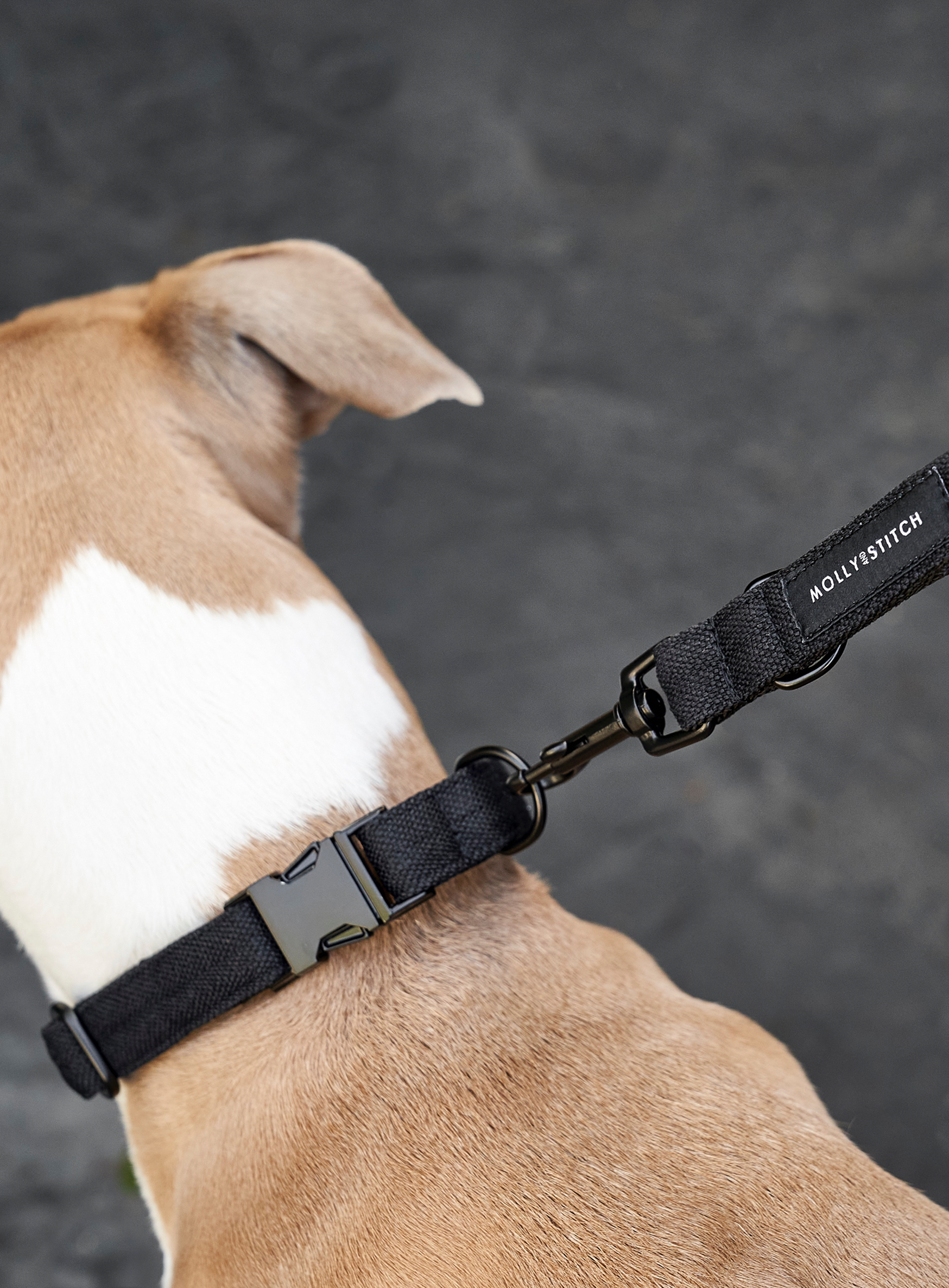 Soft Rock Collar - Black