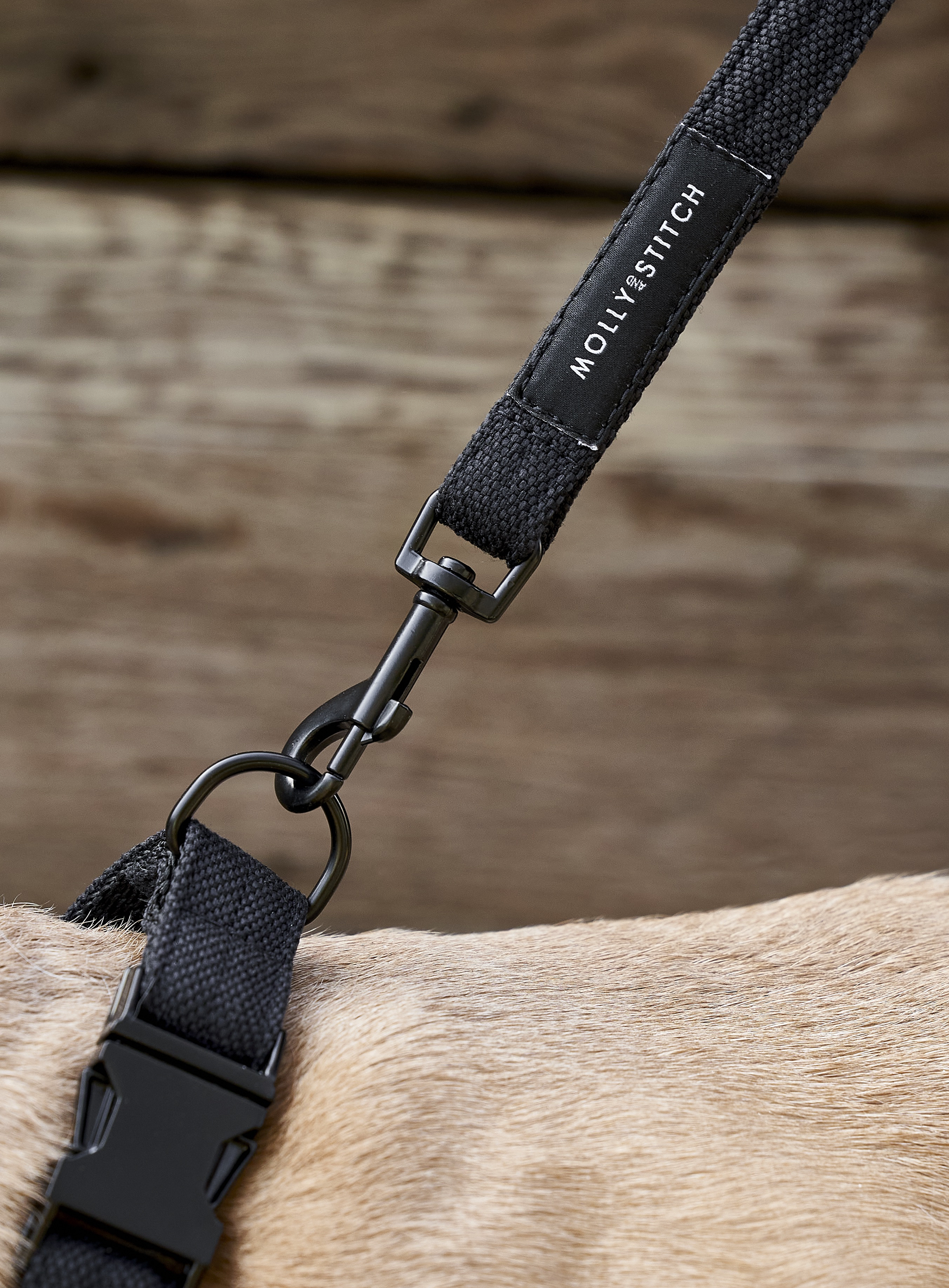 Soft Rock City Leash - Black