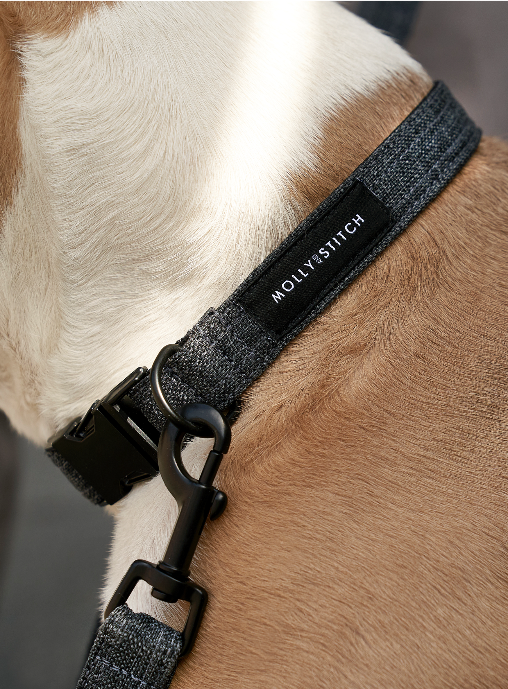 Soft Rock City Leash - Grey