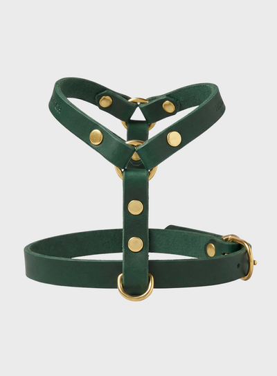 Butter Leather Y Harness - Forest Green