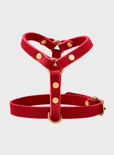 Butter Leather Y Harness - Chili Red