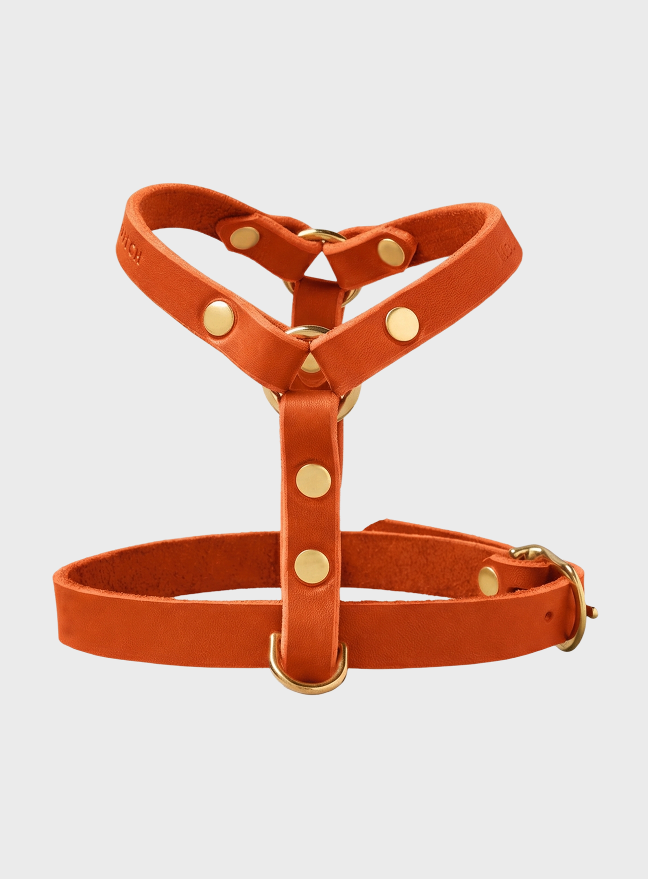 Butter Leather Y Harness - Mango