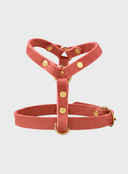 Butter Leather Y Harness - Coral
