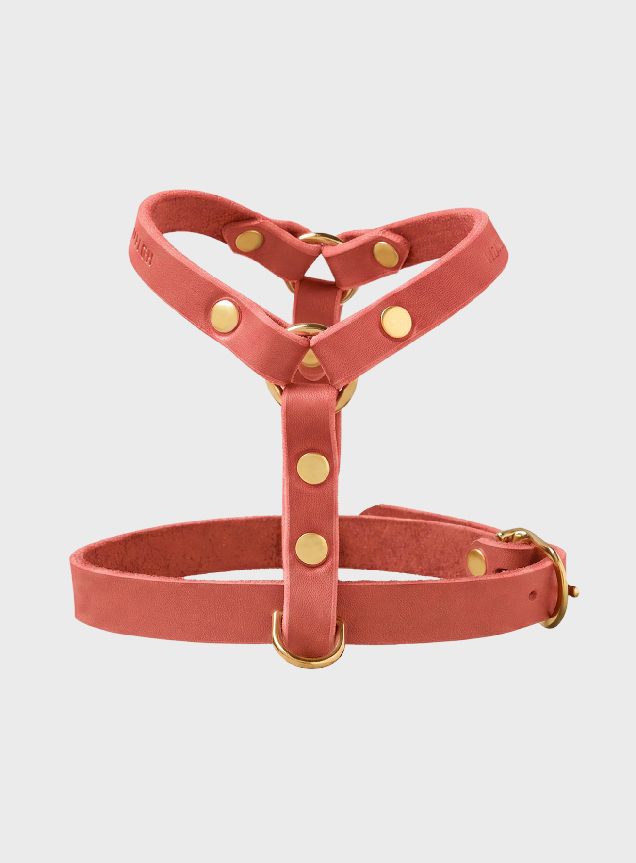 Butter Leather Y Harness - Coral