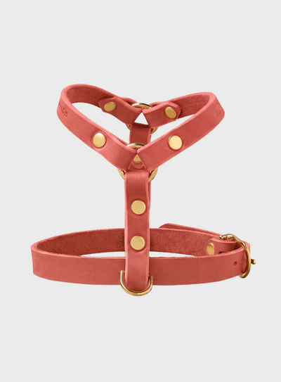 Butter Leather Y Harness - Coral