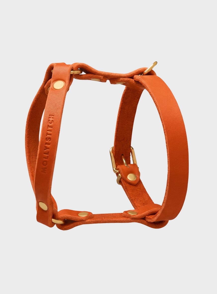 Butter Leather Y Harness - Mango