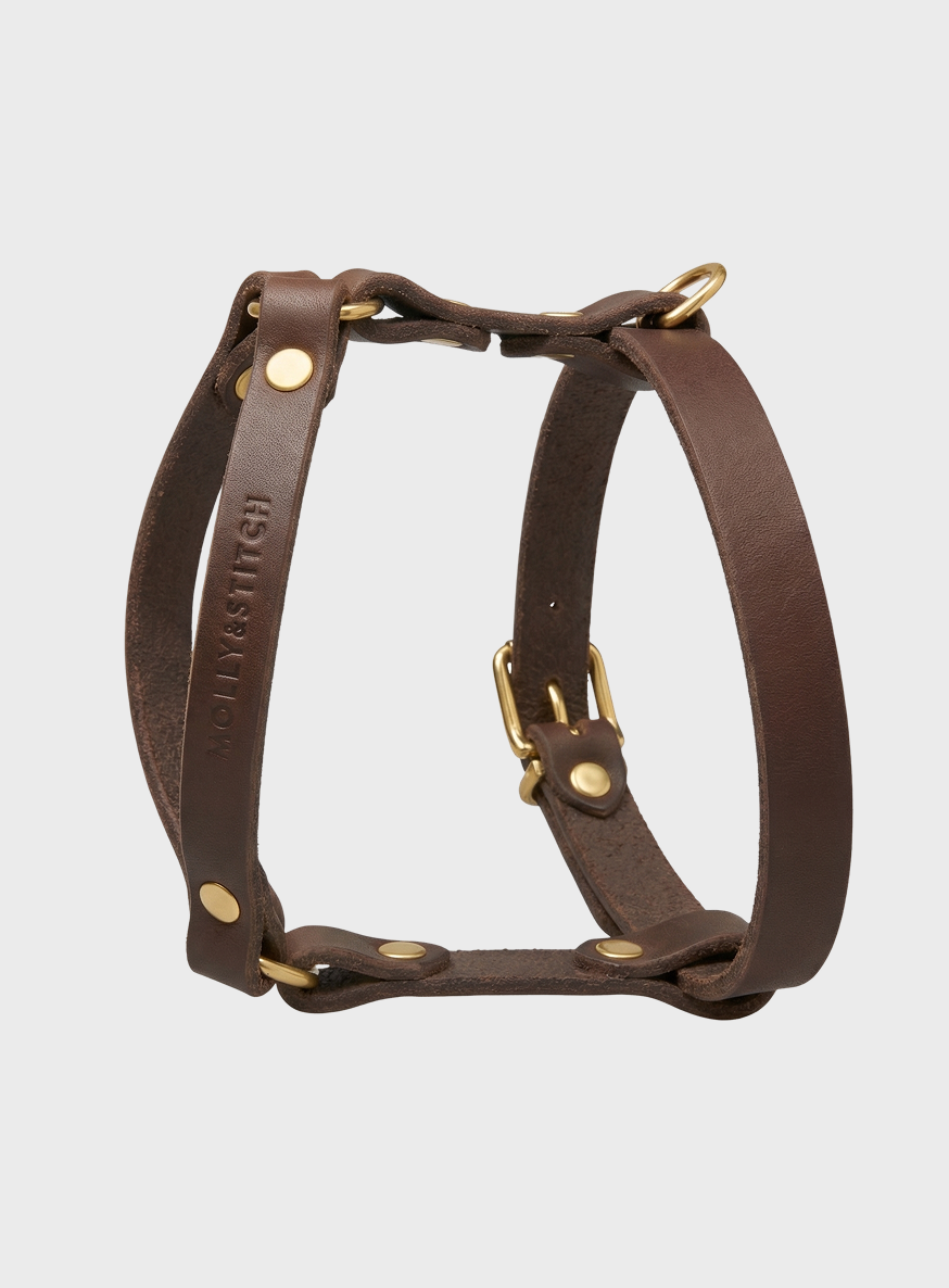 Butter Leather Y Harness - Classic Brown