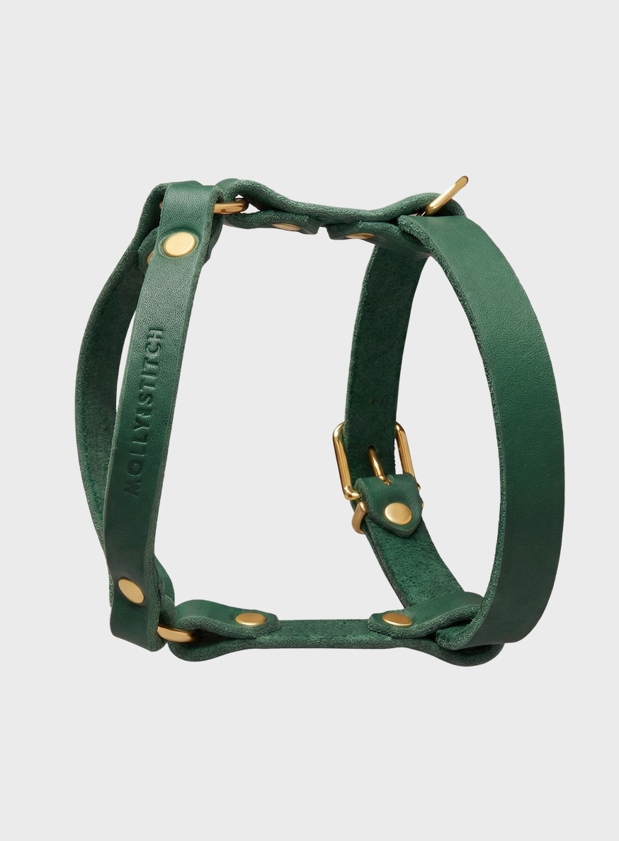 Butter Leather Y Harness - Forest Green