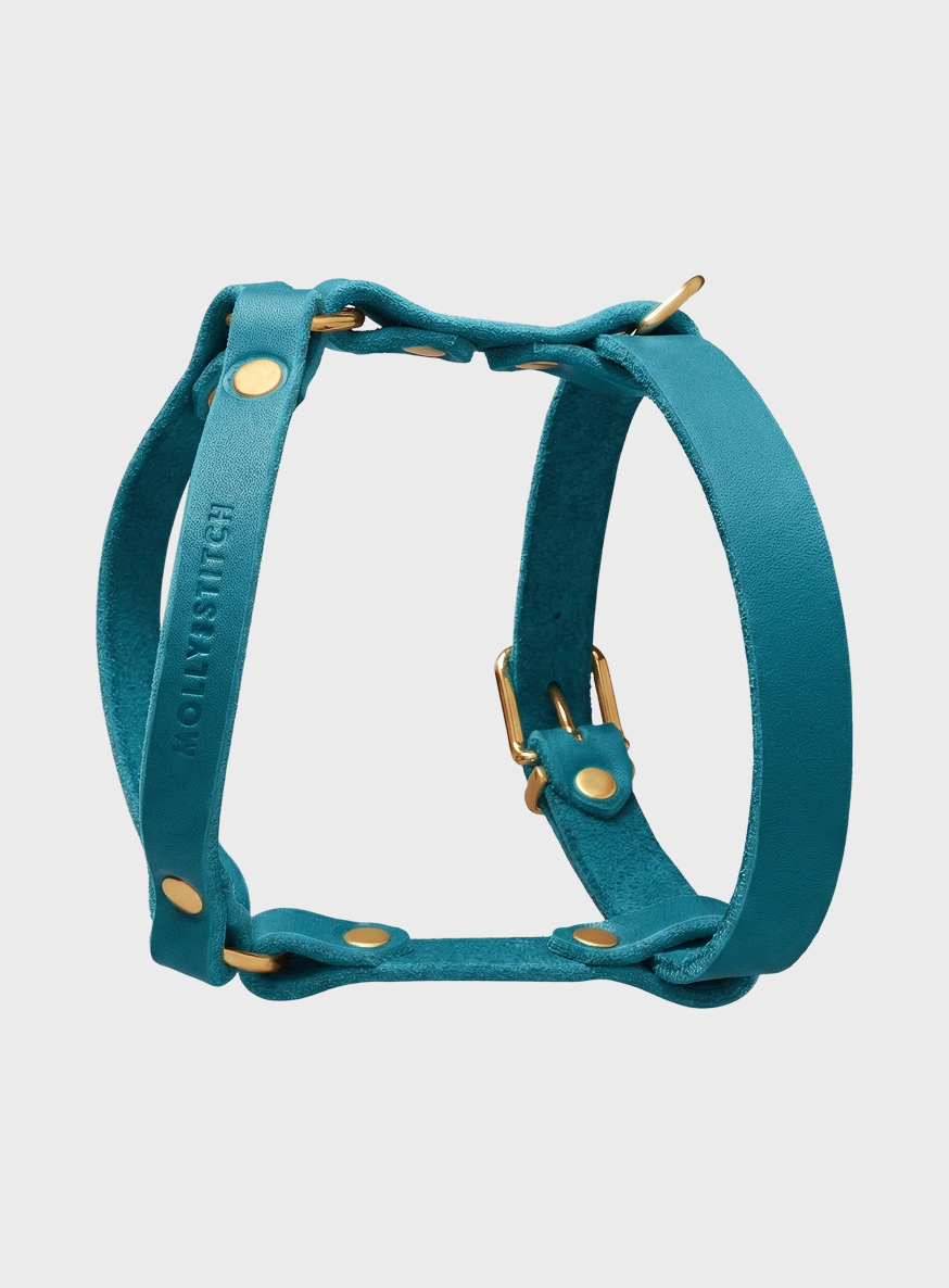 Butter Leather Y Harness - Fiji