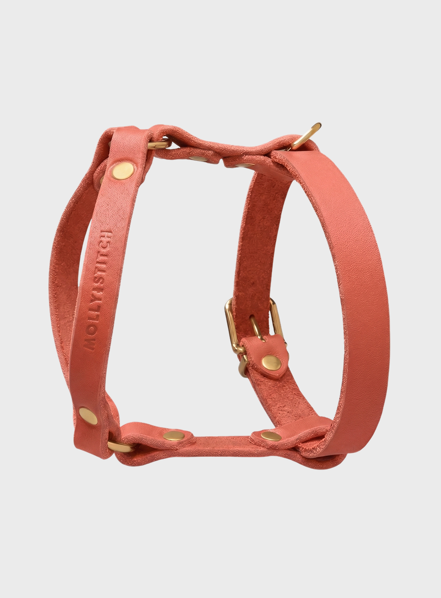 Butter Leather Y Harness - Coral