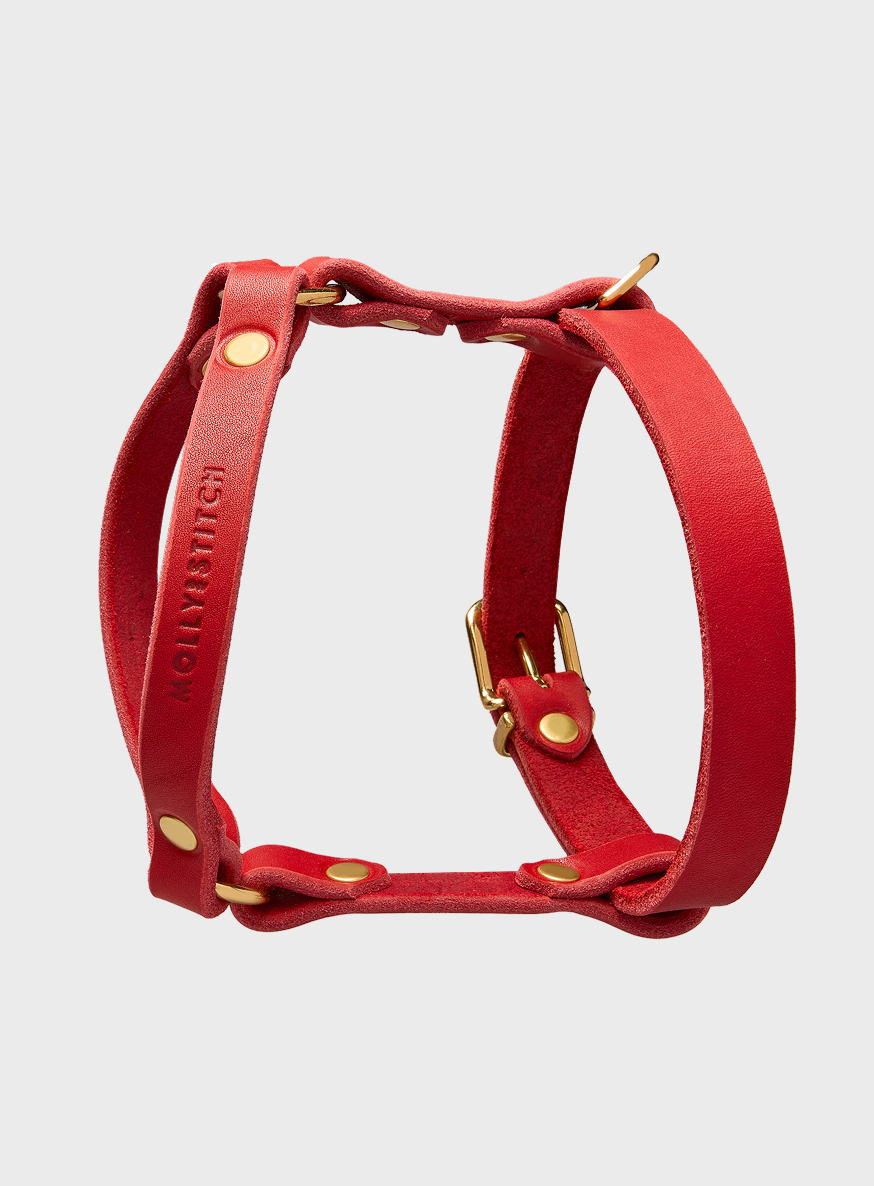 Butter Leather Y Harness - Chili Red