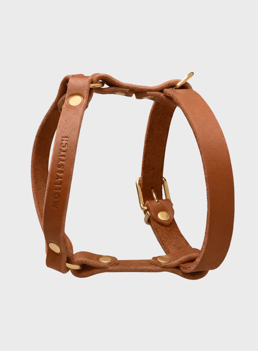 Butter Leather Y Harness - Sahara Cognac