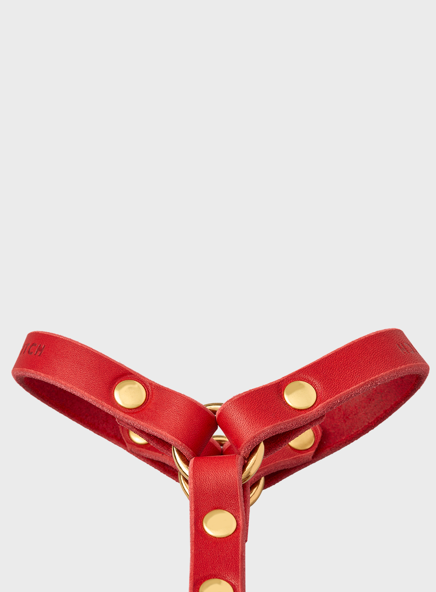 Butter Leather Y Harness - Chili Red