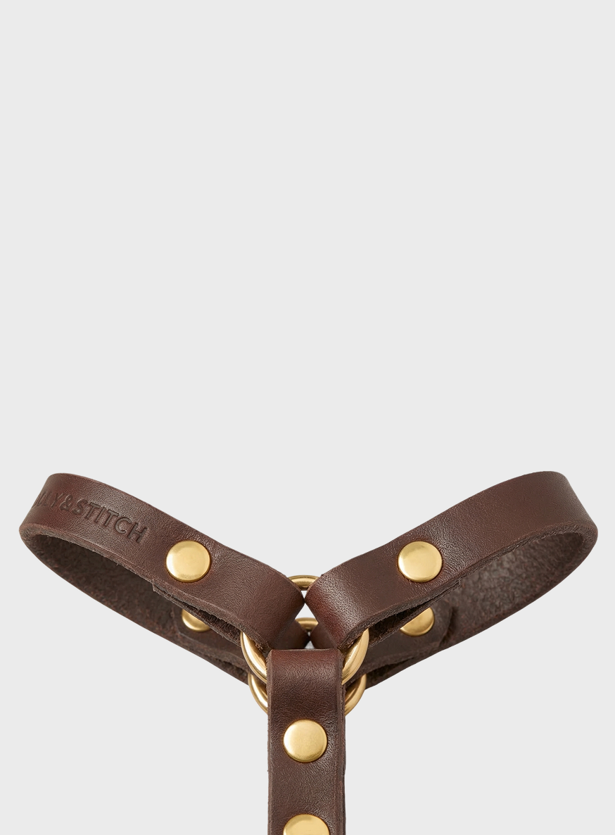 Butter Leather Y Harness - Classic Brown
