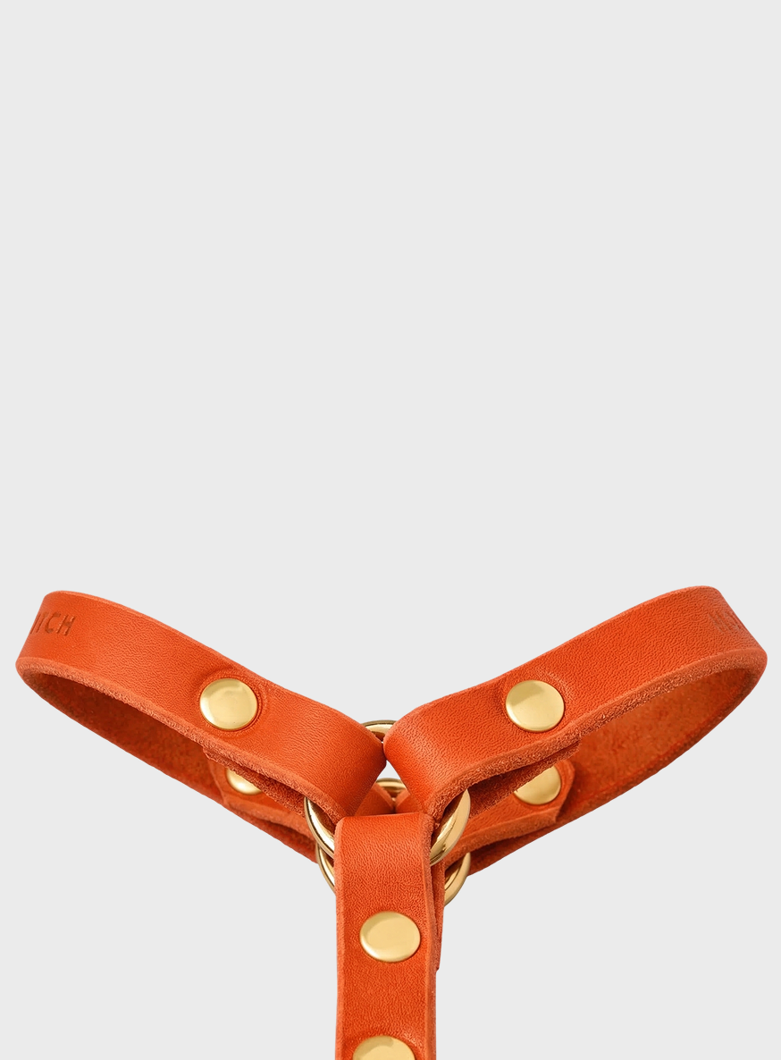 Butter Leather Y Harness - Mango