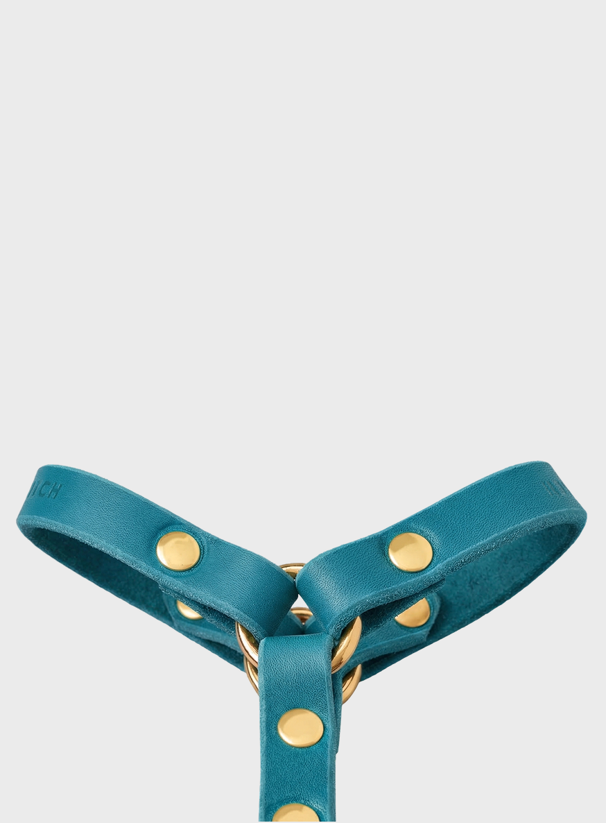 Butter Leather Y Harness - Fiji