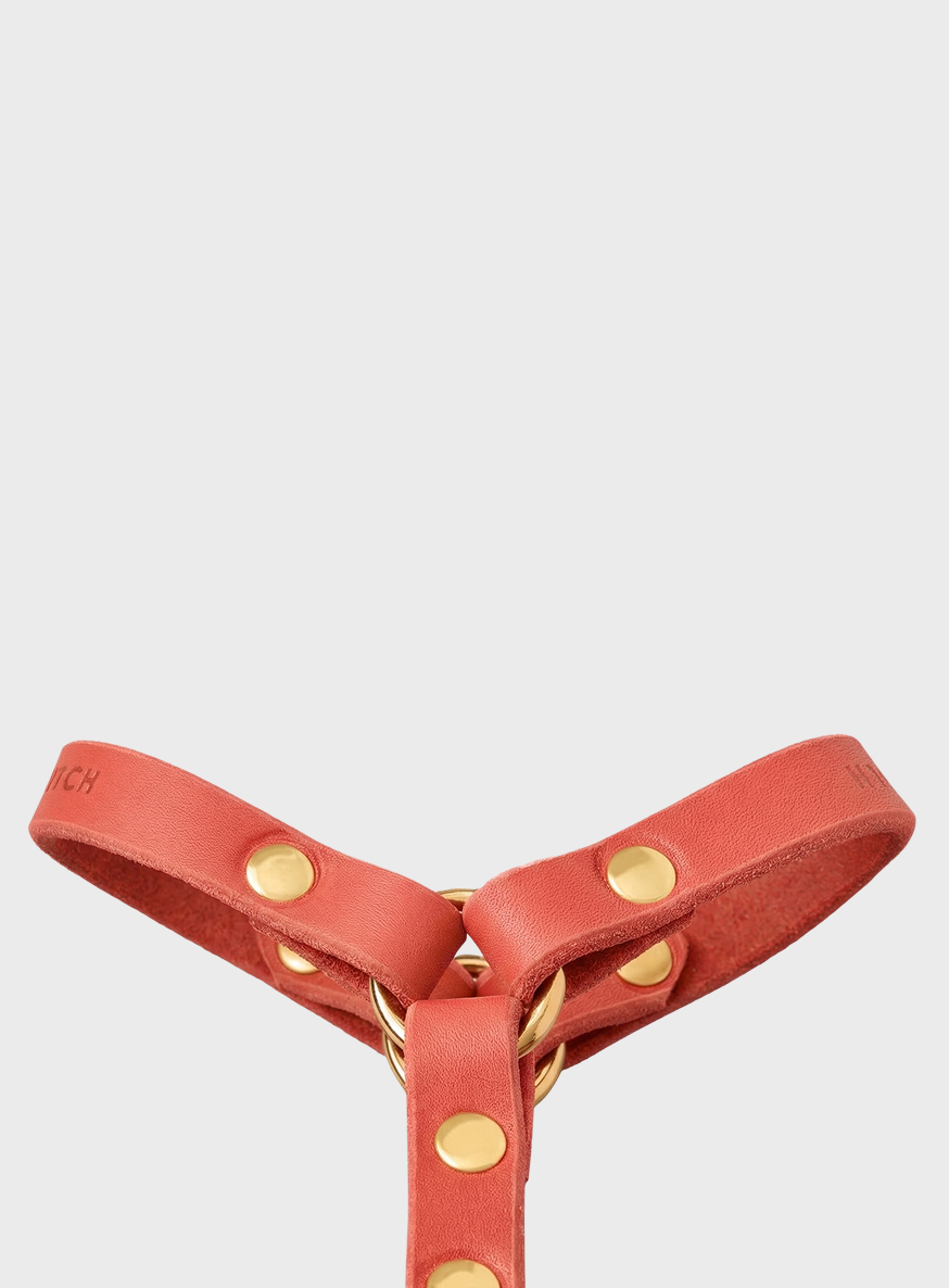Butter Leather Y Harness - Coral