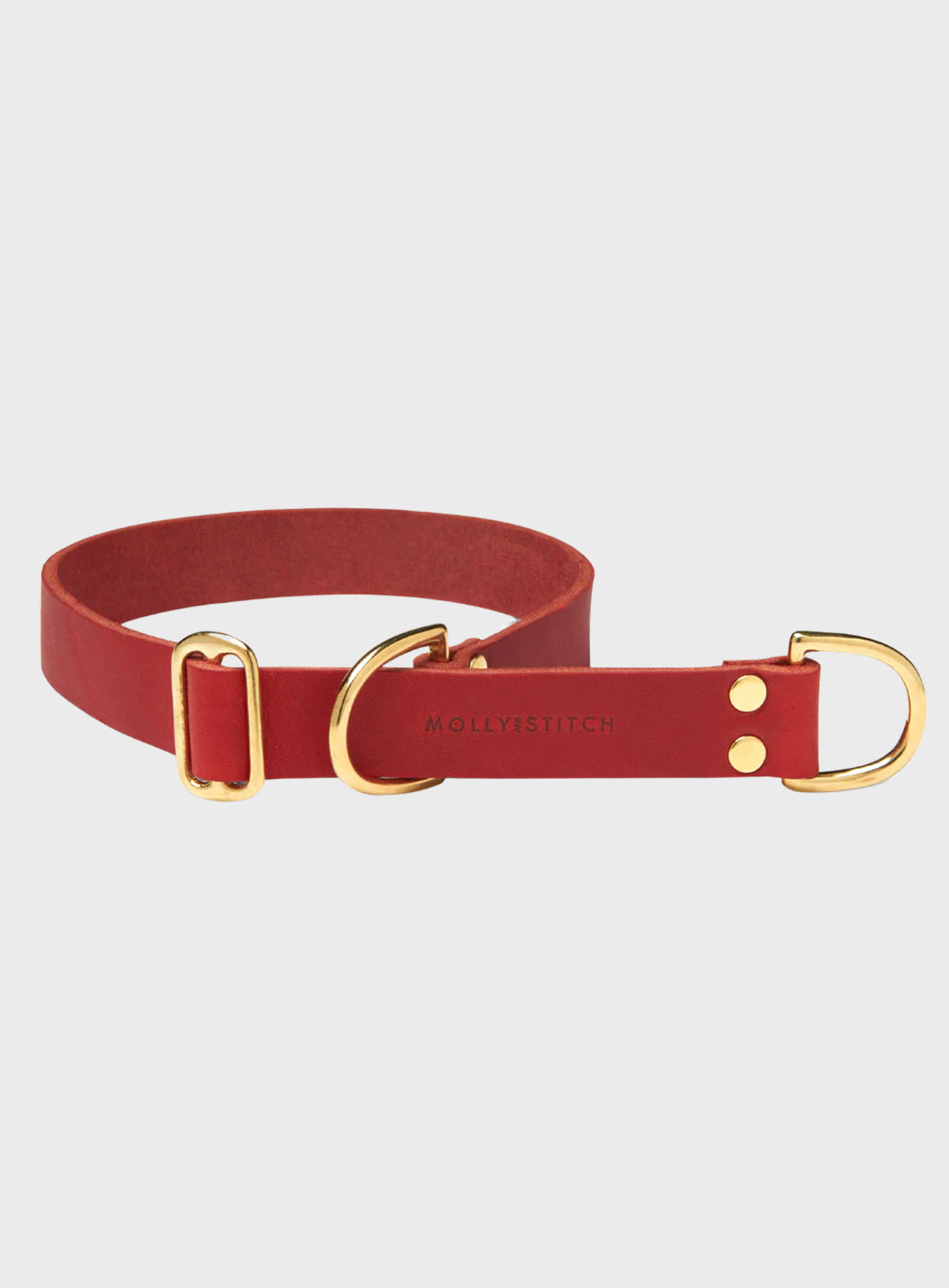 Butter Leather Retriever Dog Collar - Chili Red
