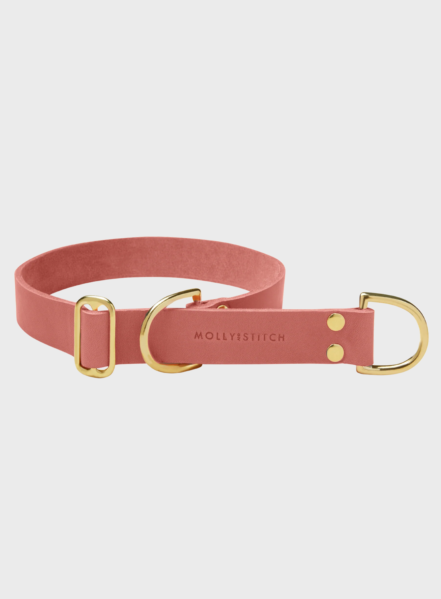 Butter Leather Retriever Dog Collar - Coral