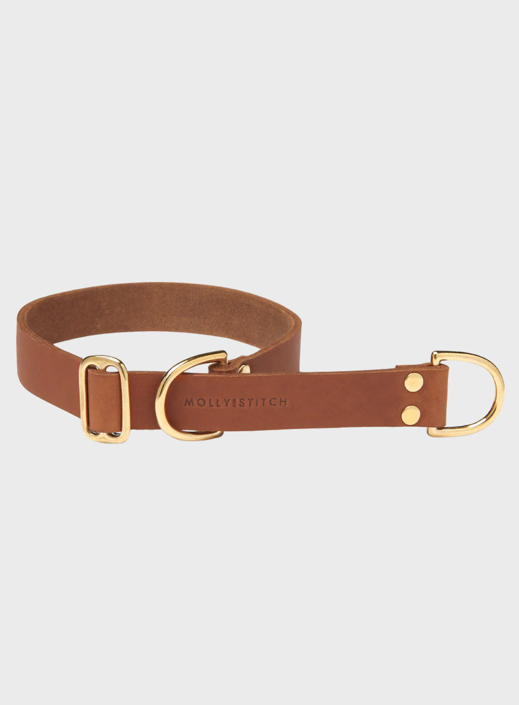 Butter Leather Retriever Dog Collar - Sahara Cognac