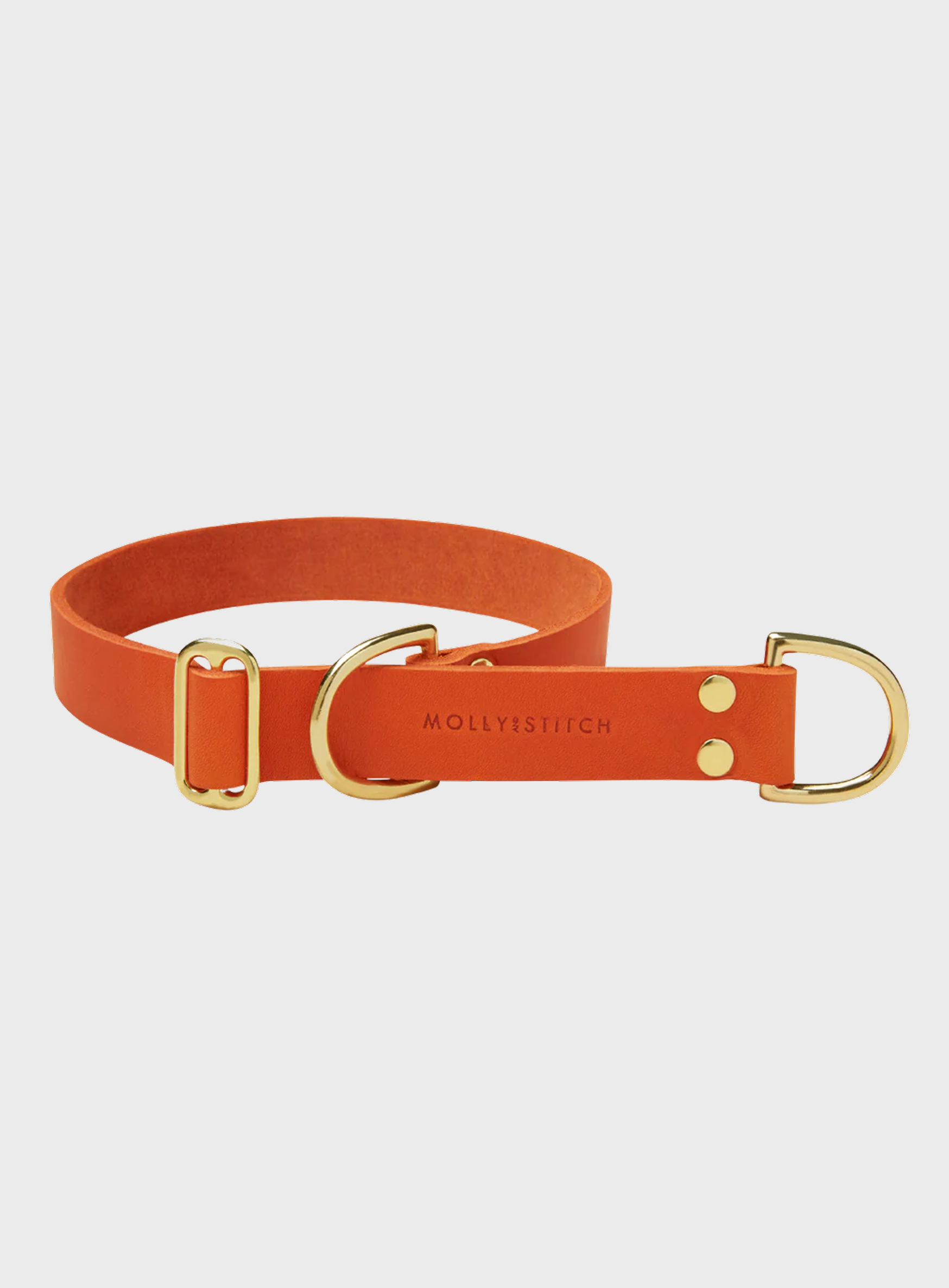 Butter Leather Retriever Dog Collar - Mango