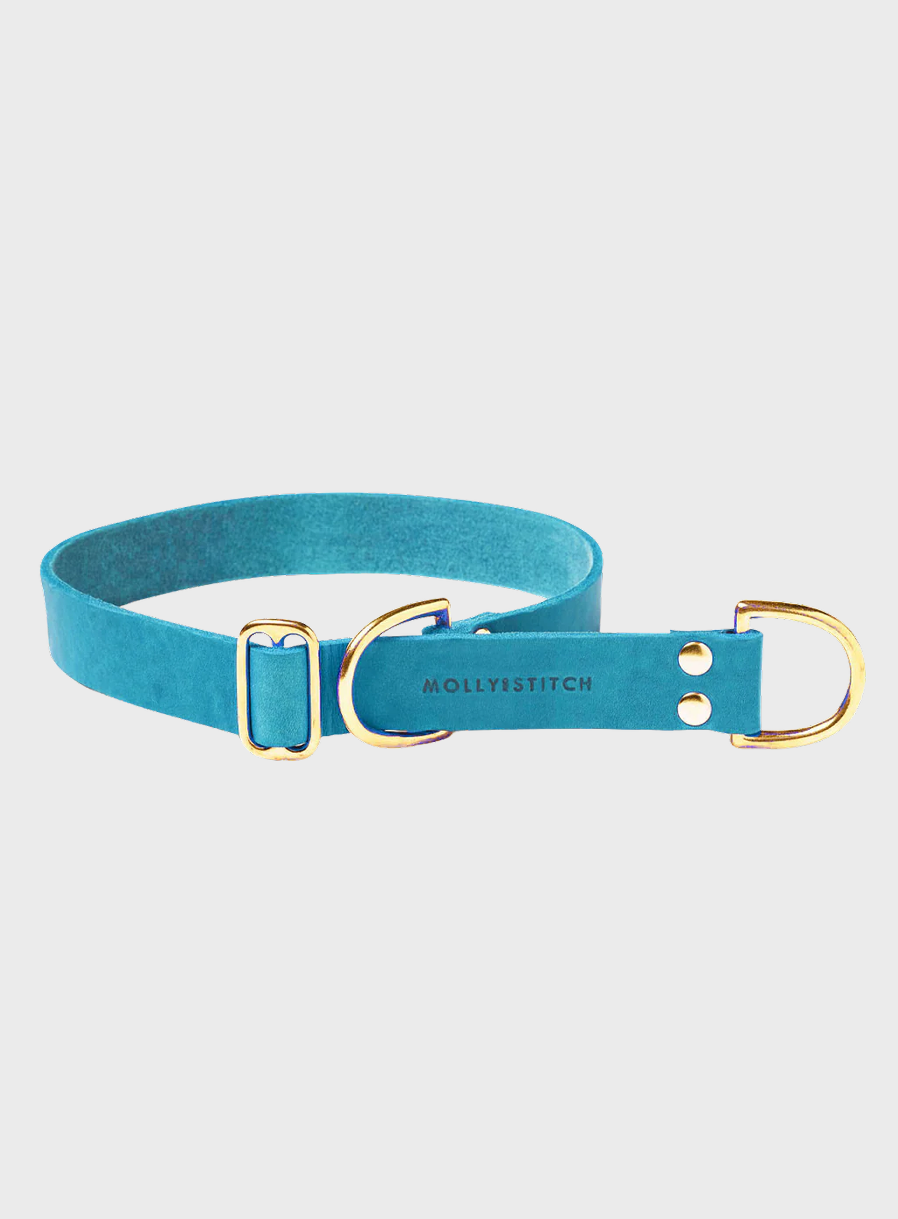 Butter Leather Retriever Dog Collar - Fiji