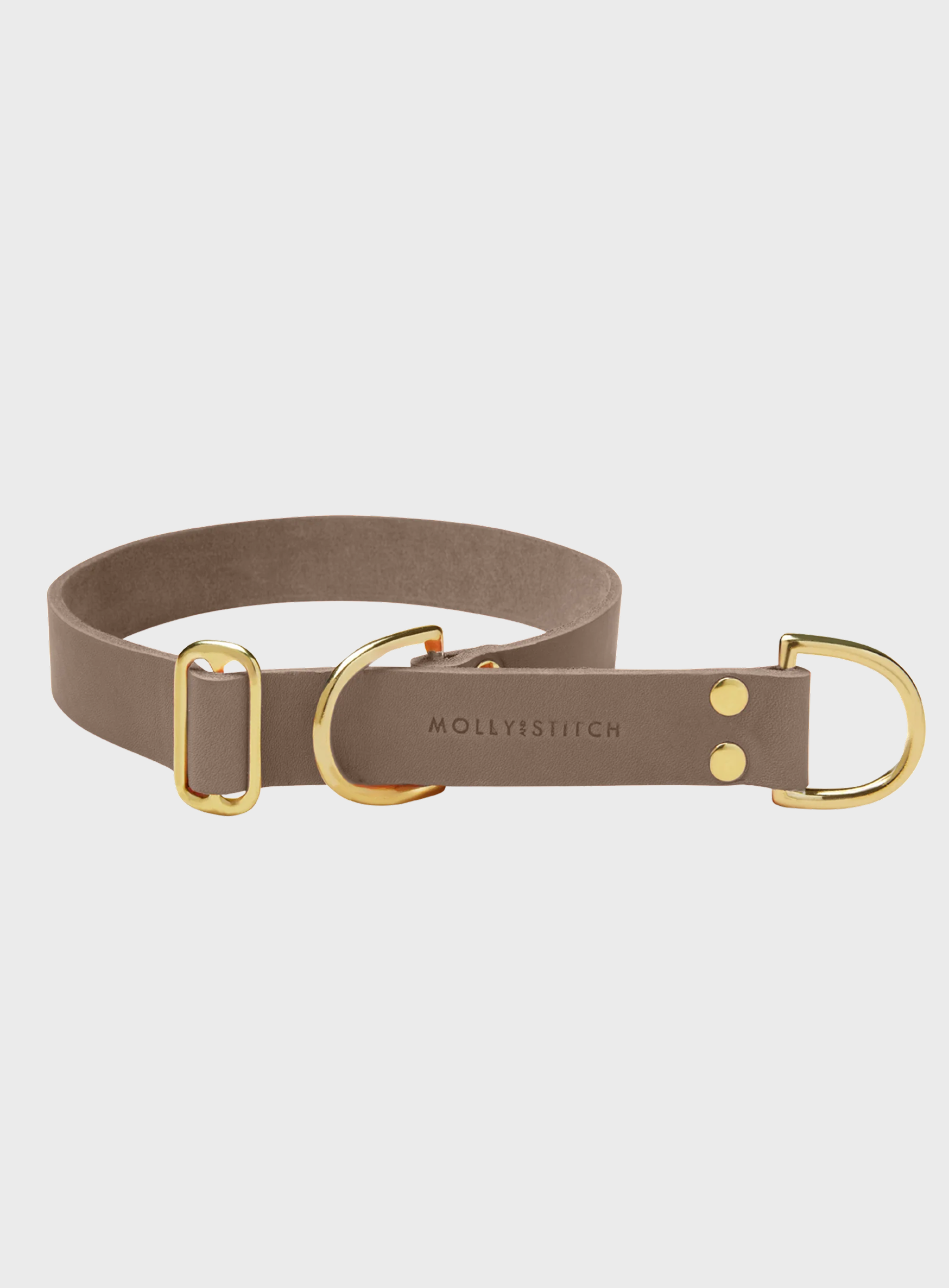 Butter Leather Retriever Dog Collar - Taupe