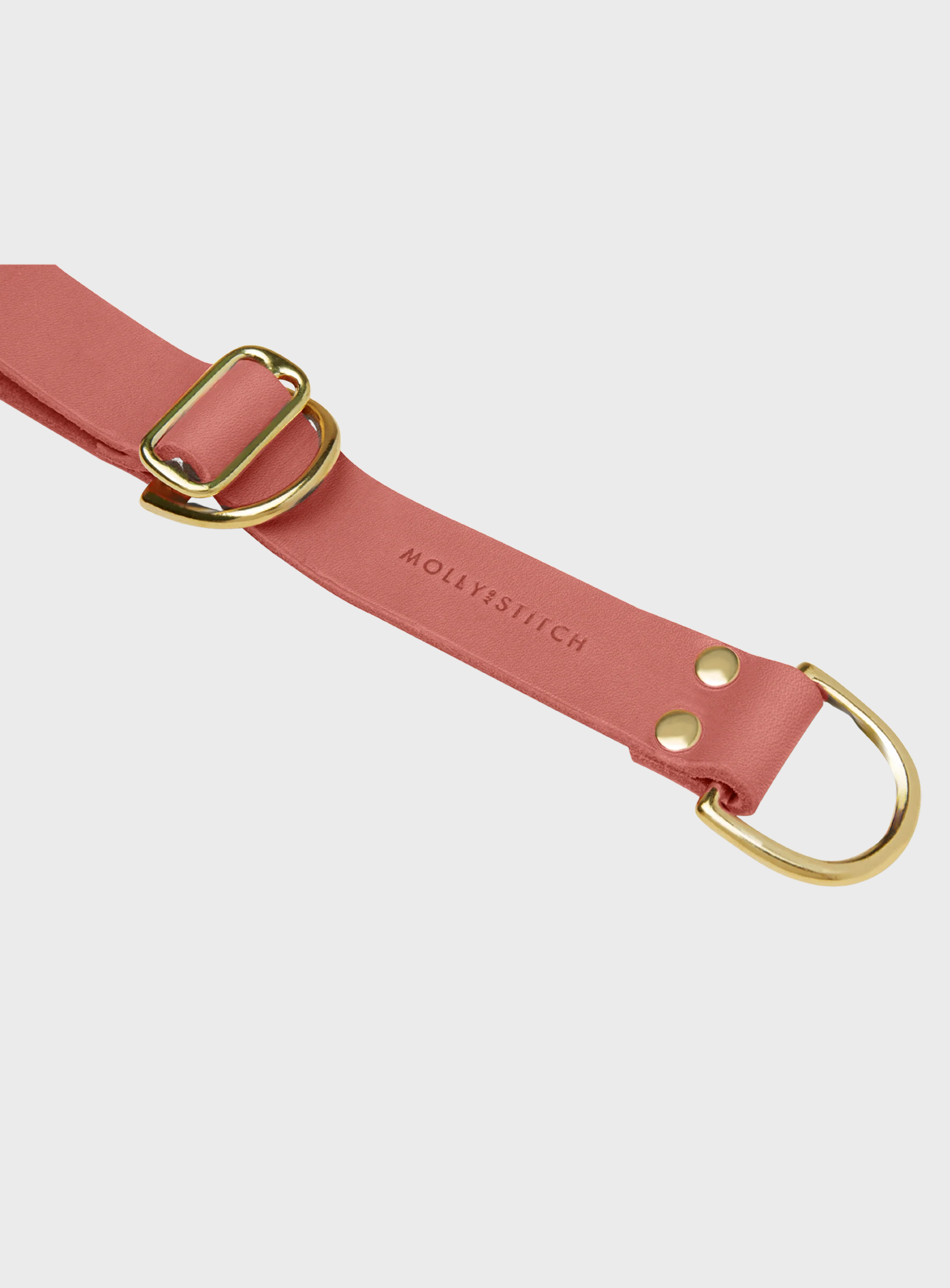 Butter Leather Retriever Dog Collar - Coral