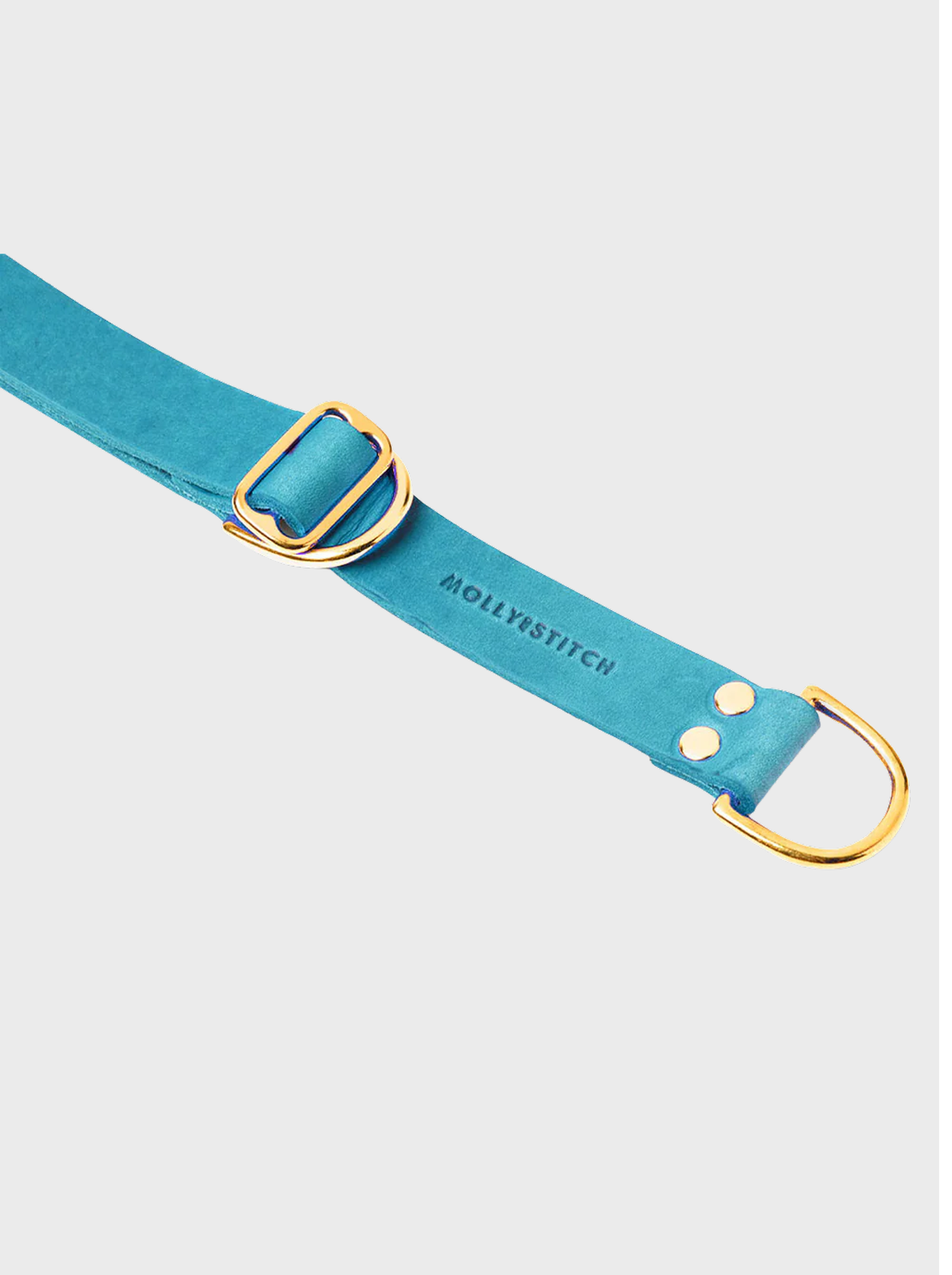 Butter Leather Retriever Dog Collar - Fiji