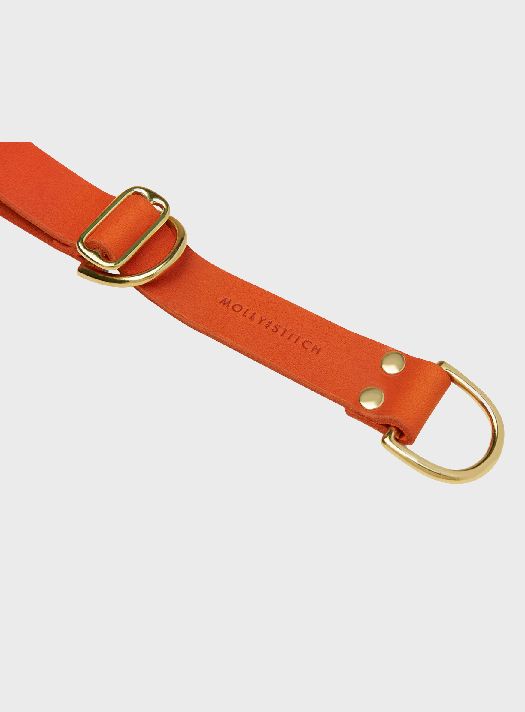 Butter Leather Retriever Dog Collar - Mango