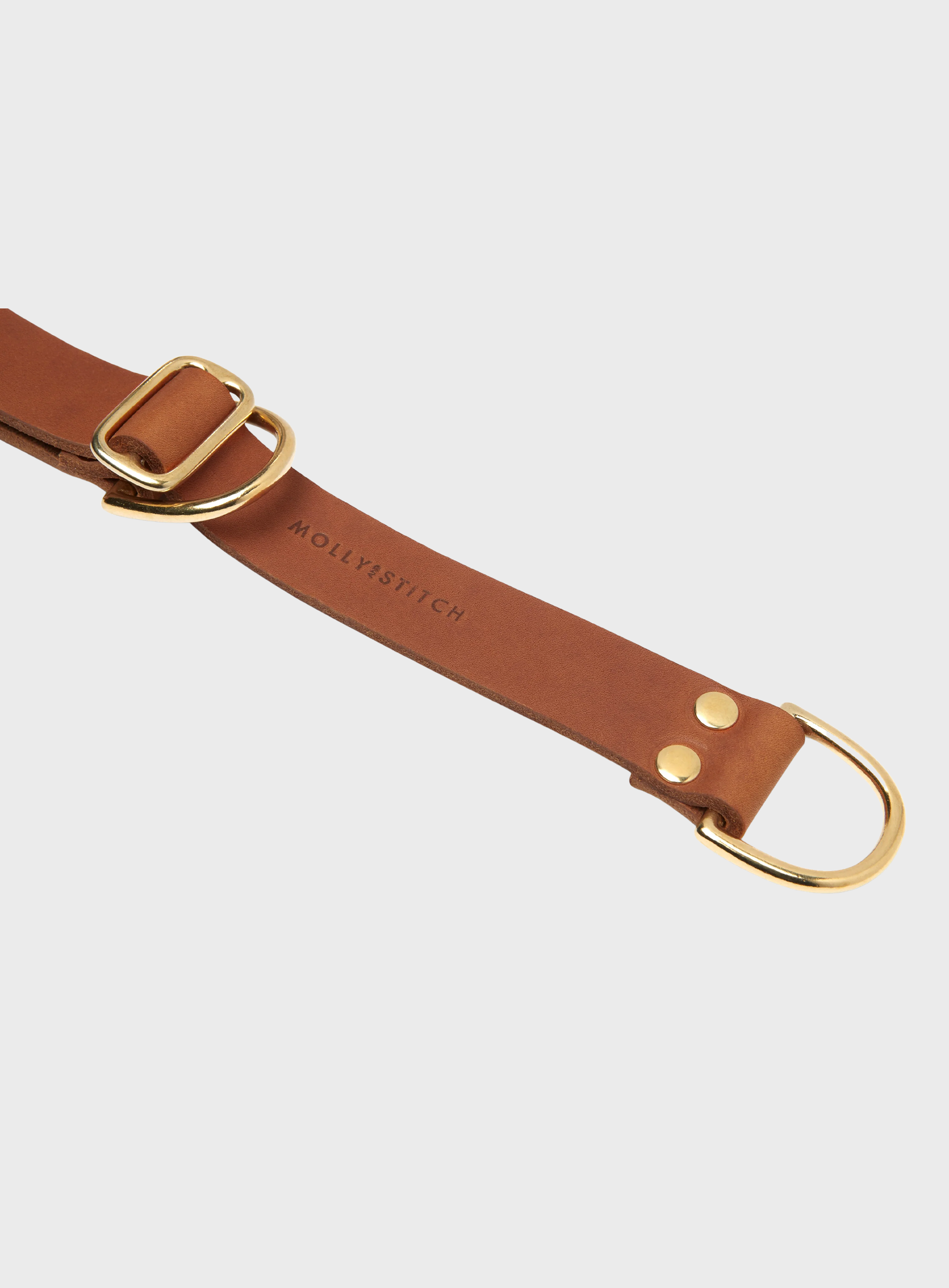 Butter Leather Retriever Dog Collar - Sahara Cognac