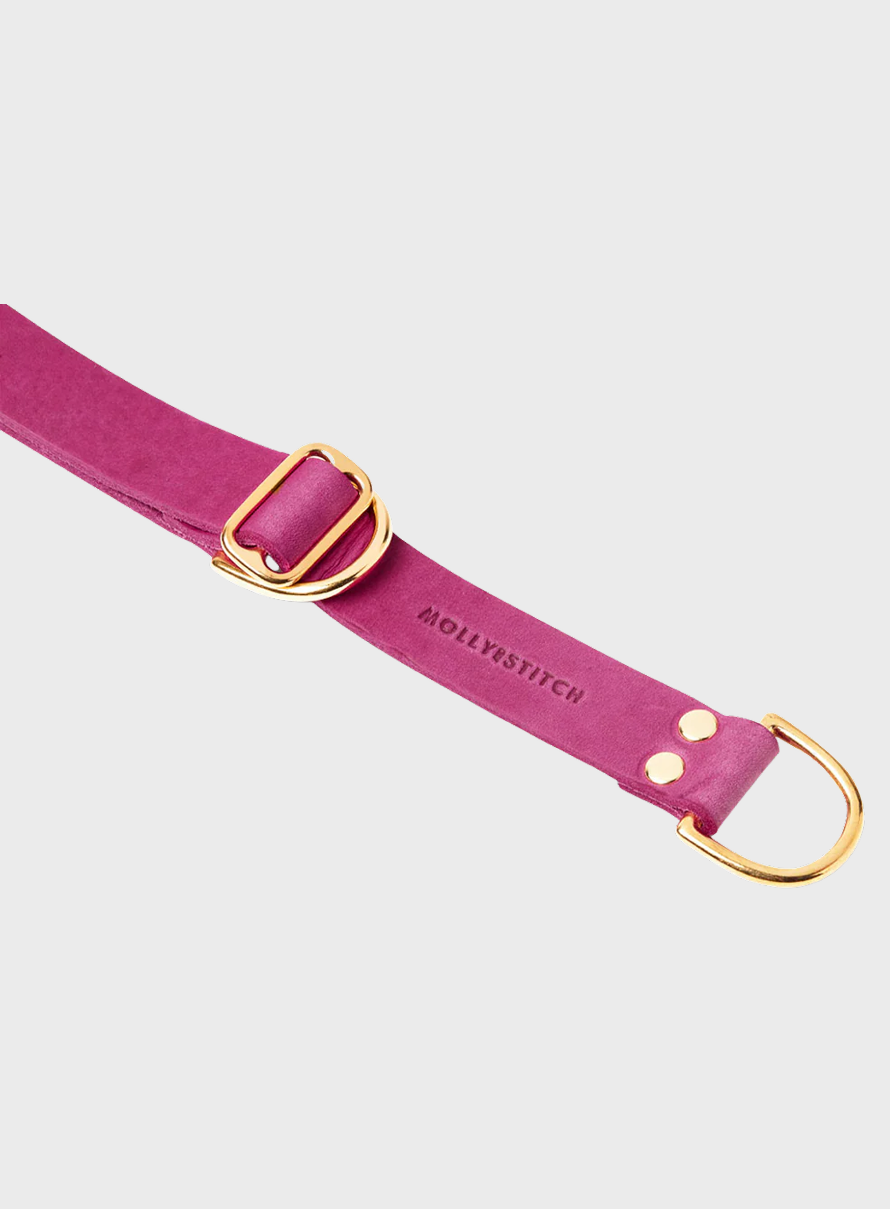 Butter Leather Retriever Dog Collar - Flamingo