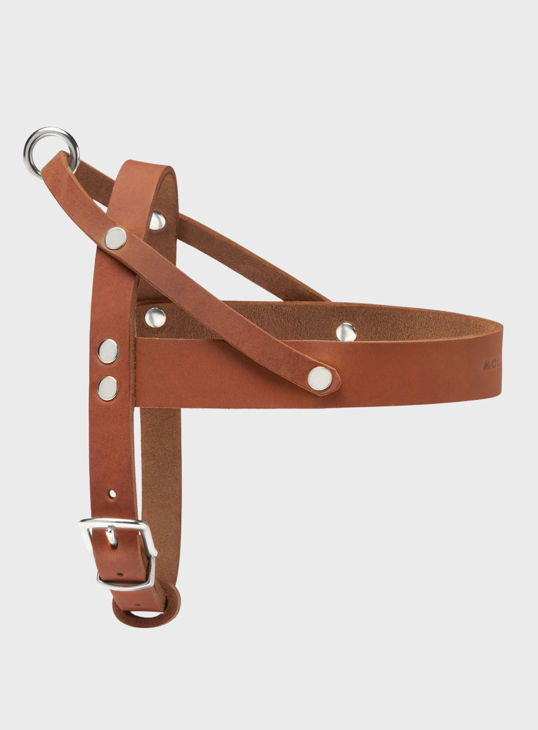 Butter Leather Dog Harness - Sahara Cognac