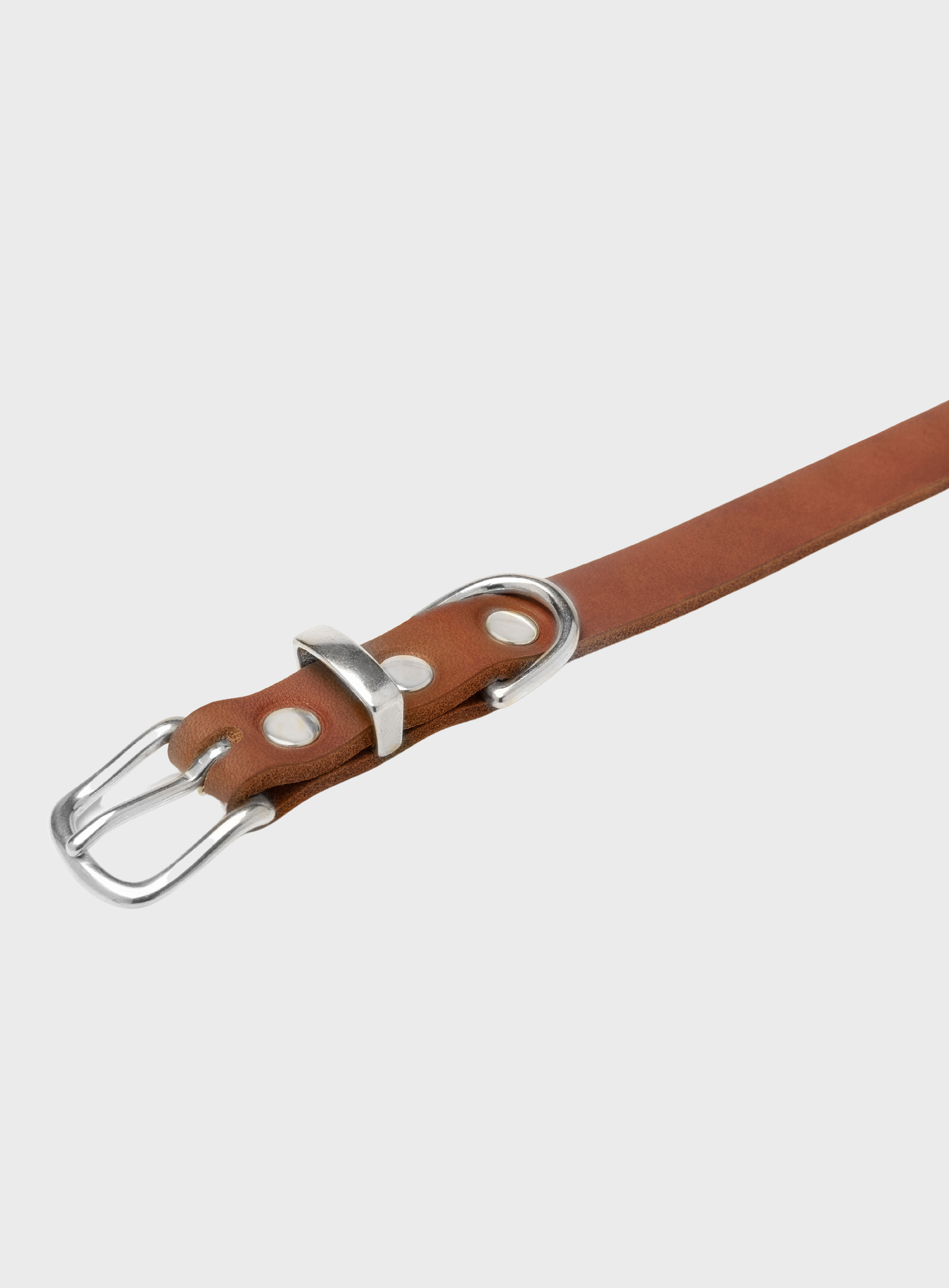 Butter Leather Dog Collar - Sahara Cognac