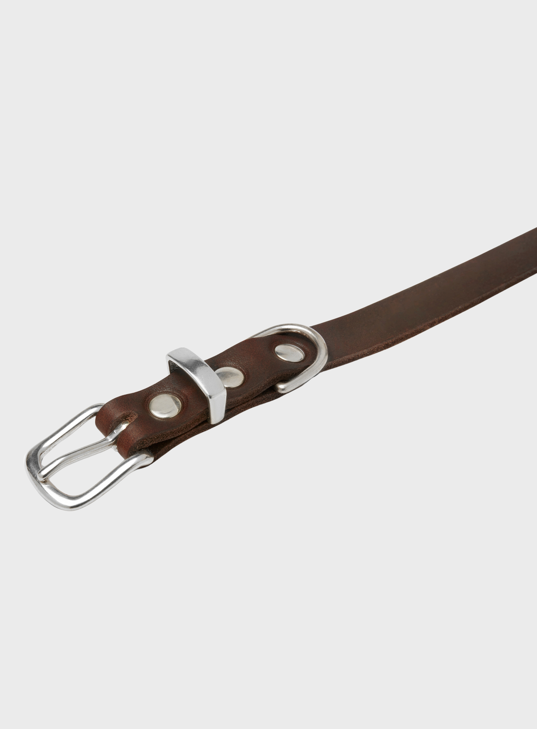 Butter Leather Dog Collar - Classic Brown