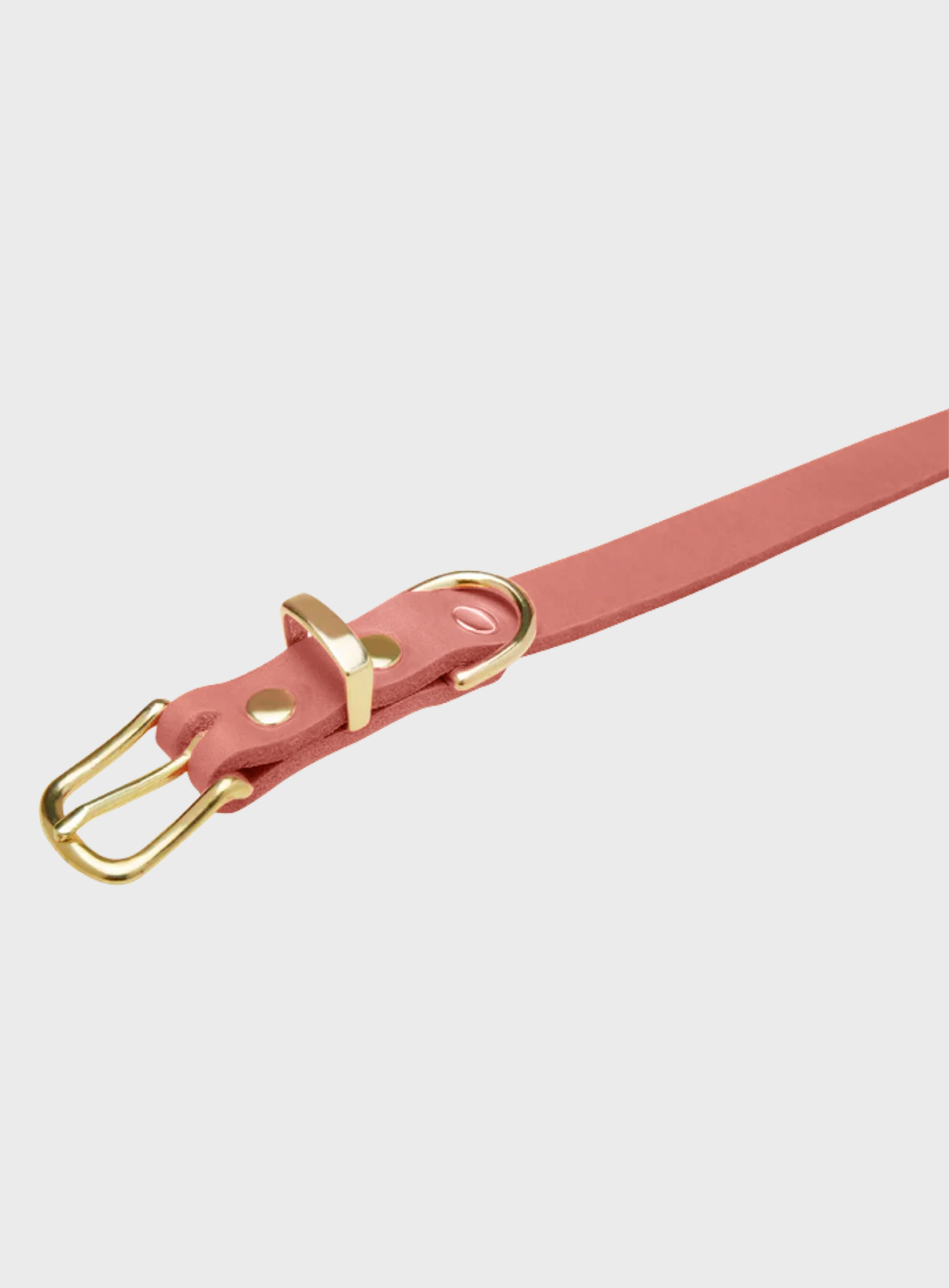 Butter Leather Dog Collar - Coral