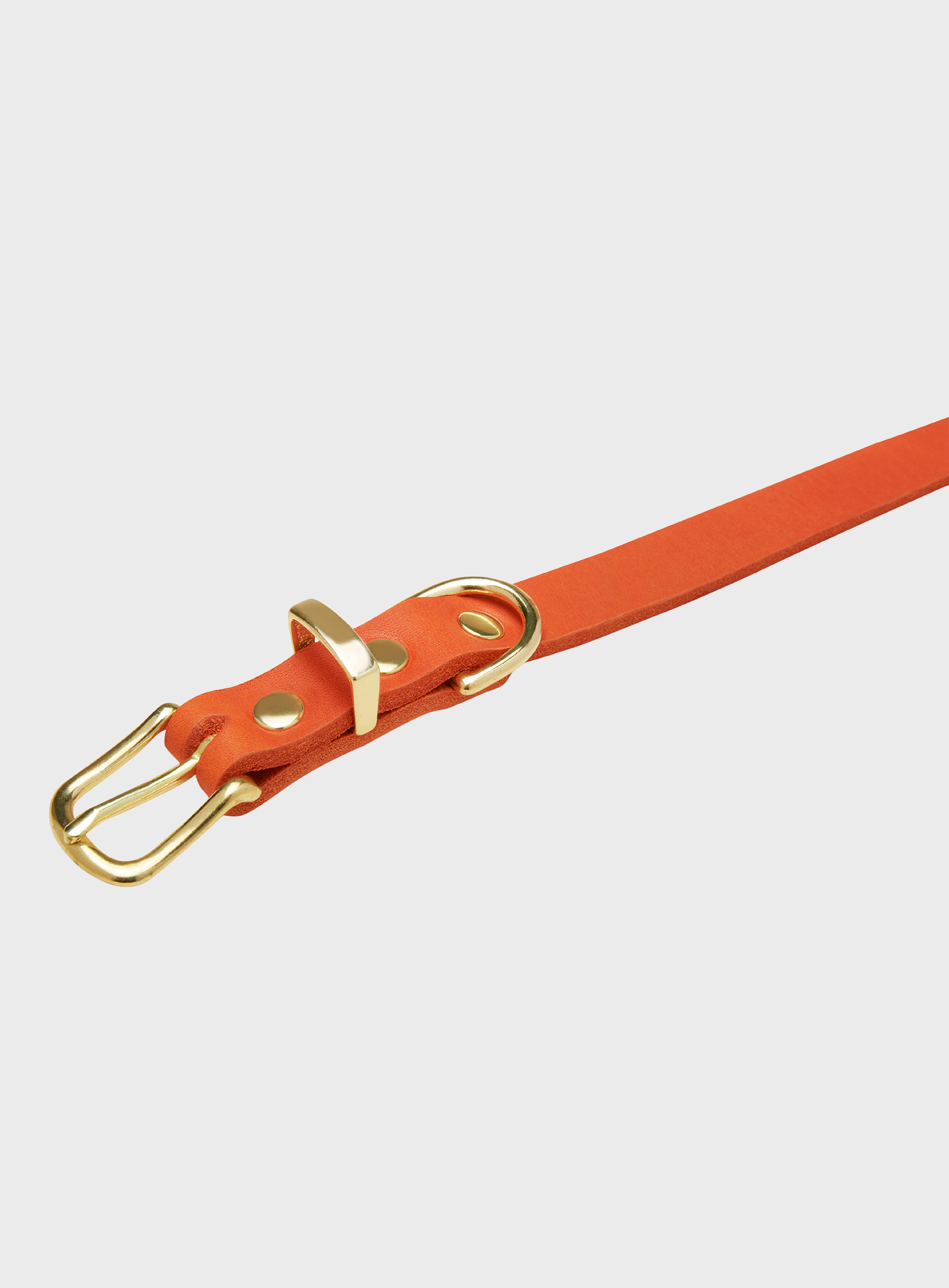 Butter Leather Dog Collar - Mango