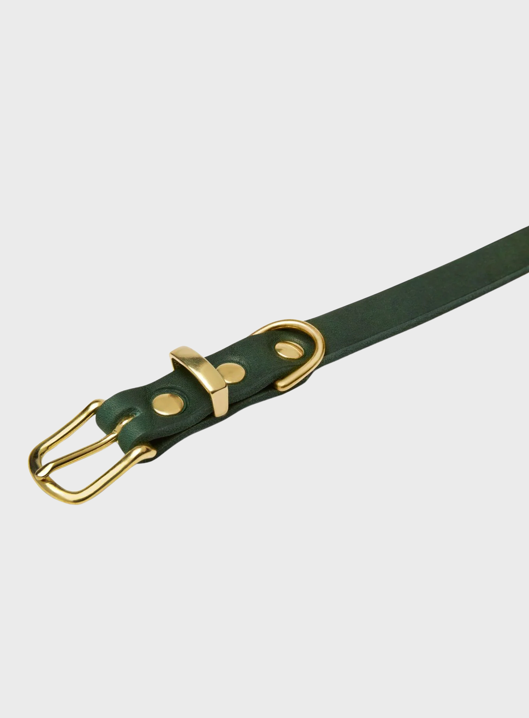 Butter Leather Dog Collar - Forest Green