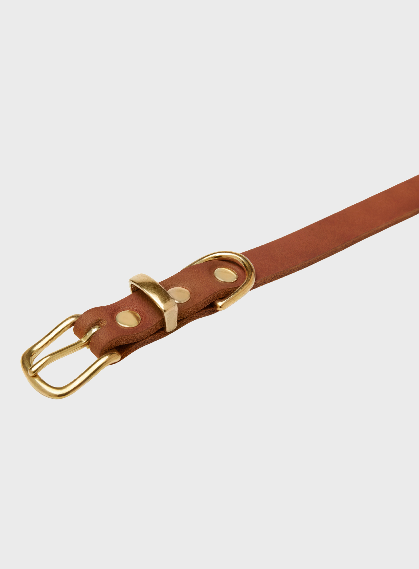 Butter Leather Dog Collar - Sahara Cognac