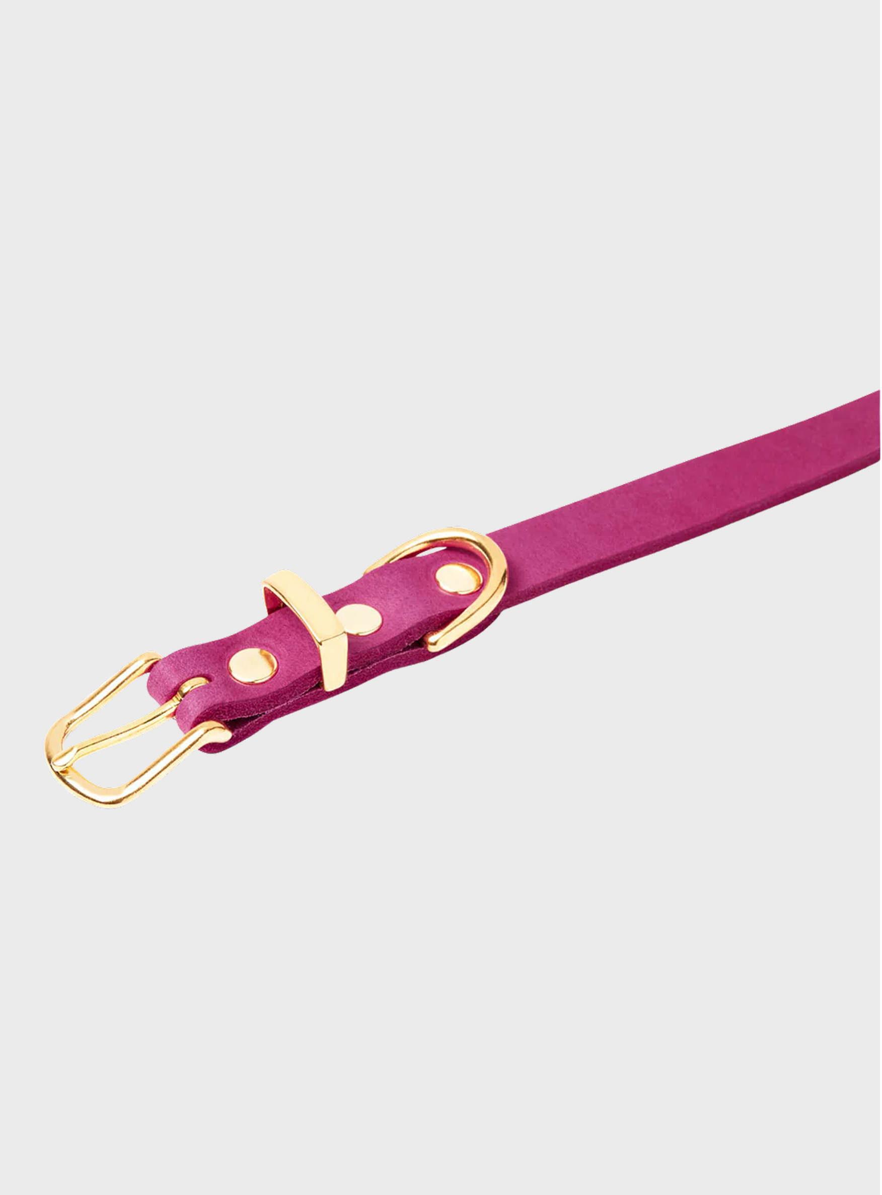 Butter Leather Dog Collar - Flamingo