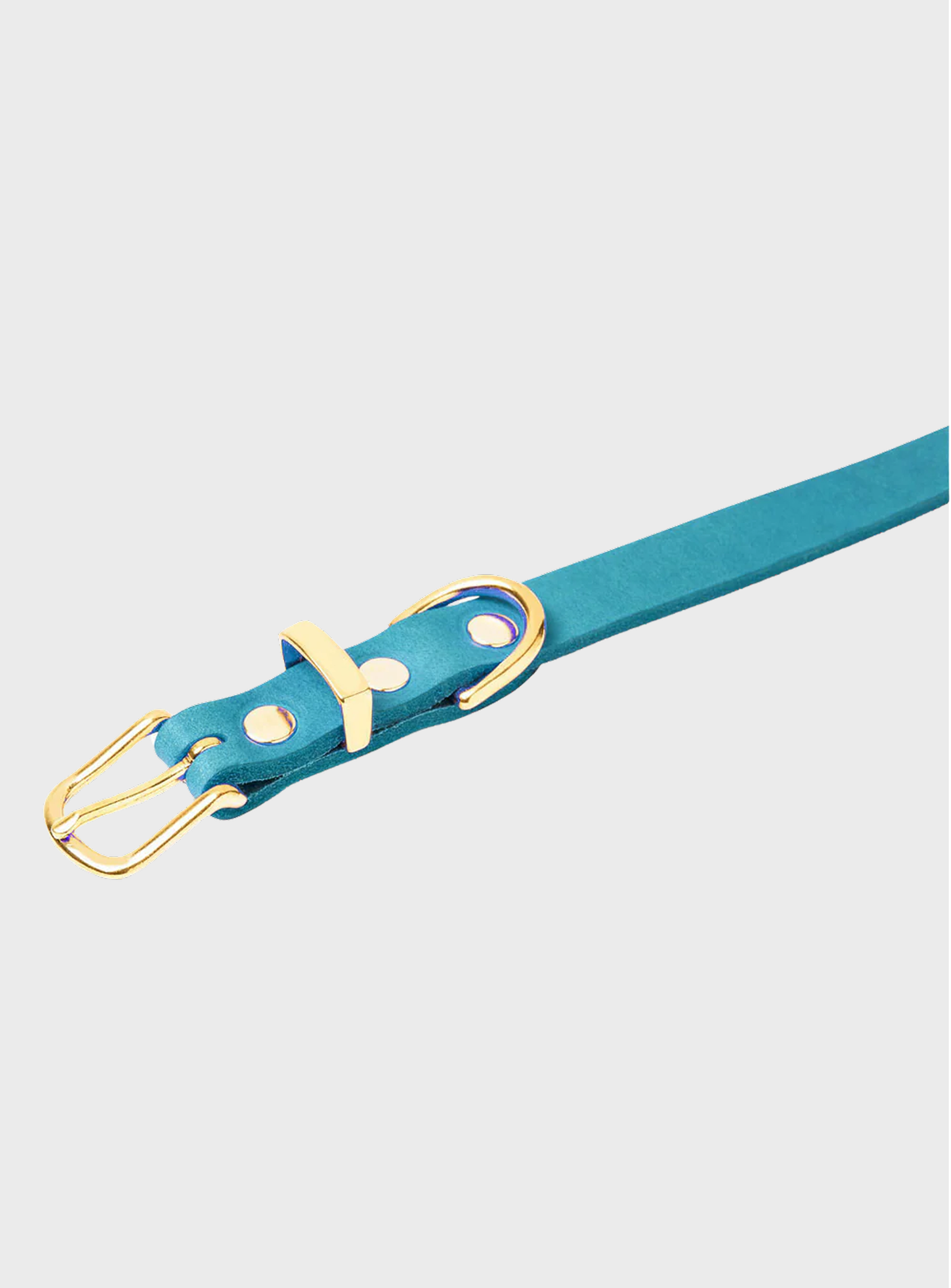 Butter Leather Dog Collar - Fiji